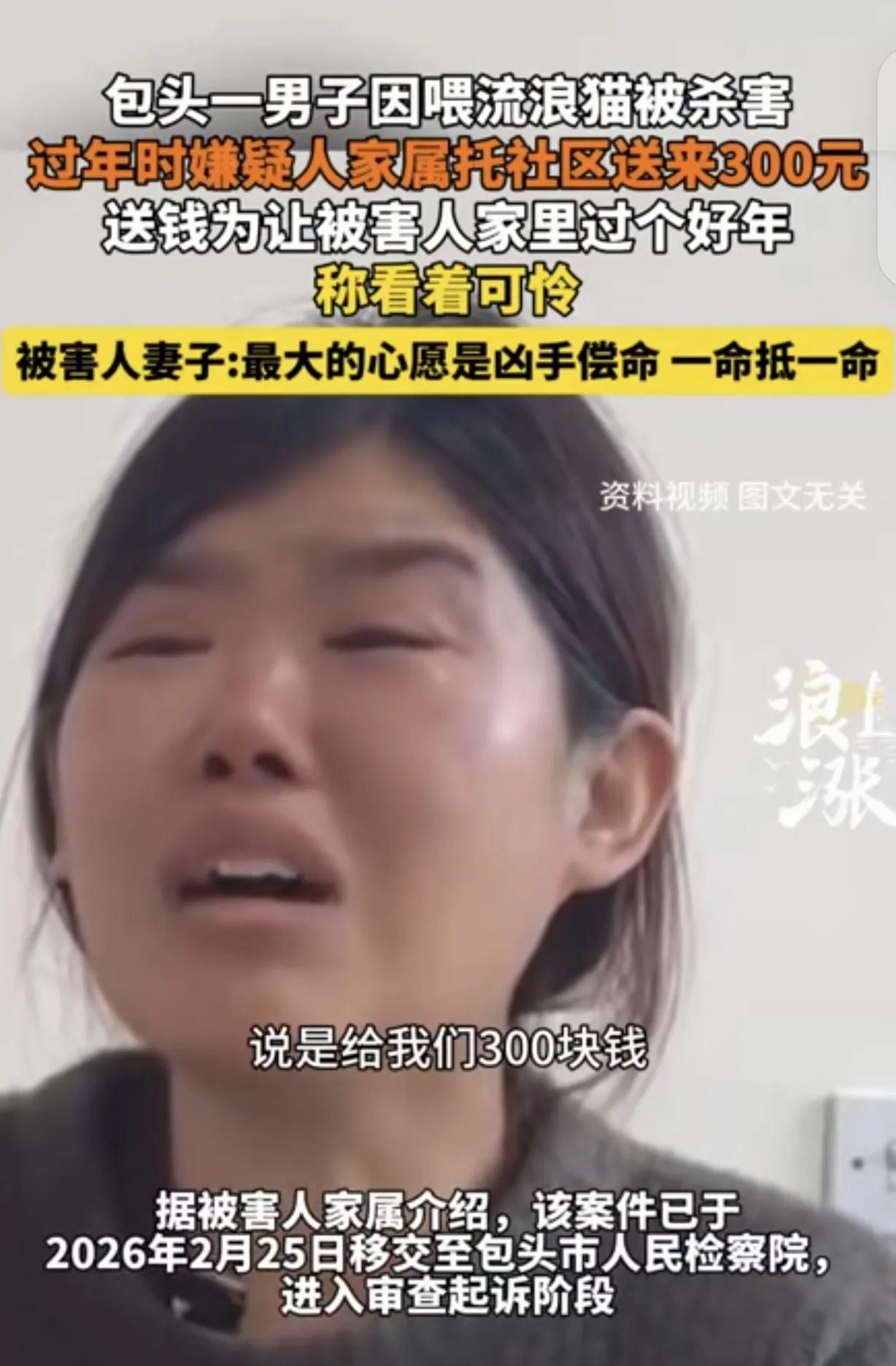 “严惩不贷！”内蒙古包头，男子喂流浪猫惹来杀身之祸，邻居在楼下将其刺死，腊月二十