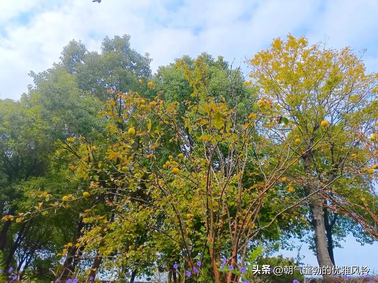 人生苦短，用心生活跑得再快，也跑不过时间，走的再慢，时间也不会催促