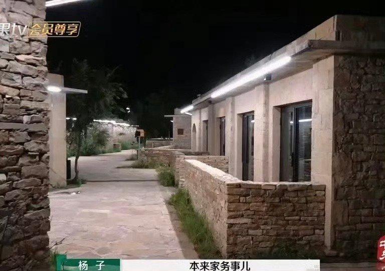 杨子后悔参加再见爱人 这次失算了吧，没想到半路杀出来个麦琳吧[偷笑] 