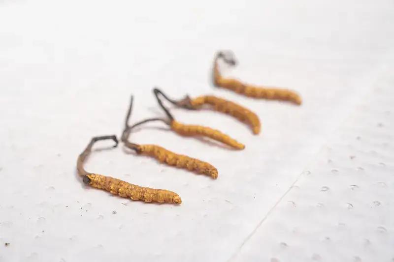 太黑心！游客6千买虫草，磨粉瞬间变7.1万！全程连环套路，专坑外地人
 
出门旅