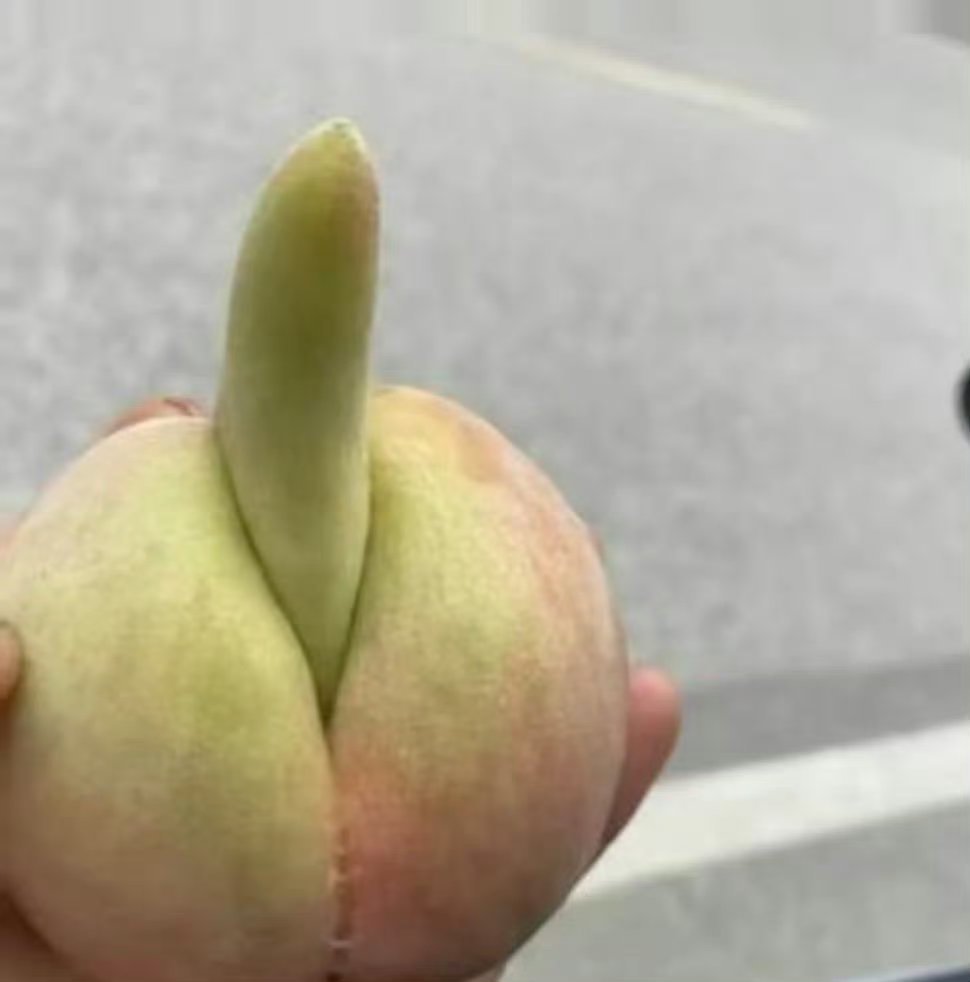 分享图片 