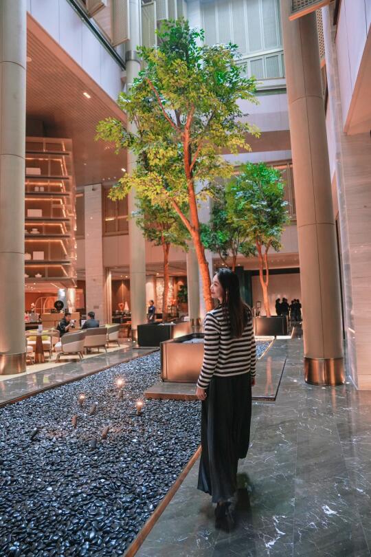 🌿深圳都市游|住进森系美学秘境