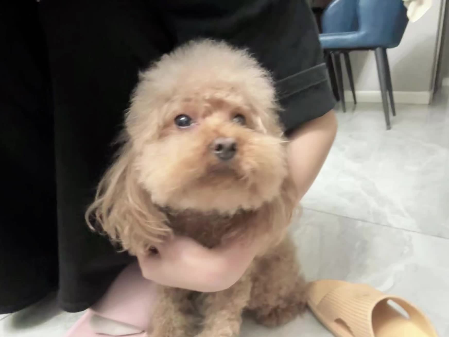 好小一只 好宝宝 你真的好乖！