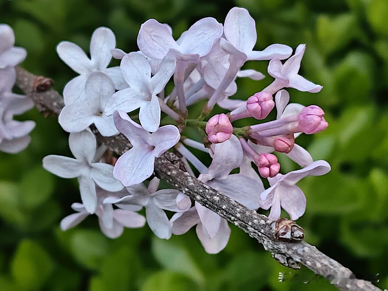 又是崭新的一天
一天好心情
