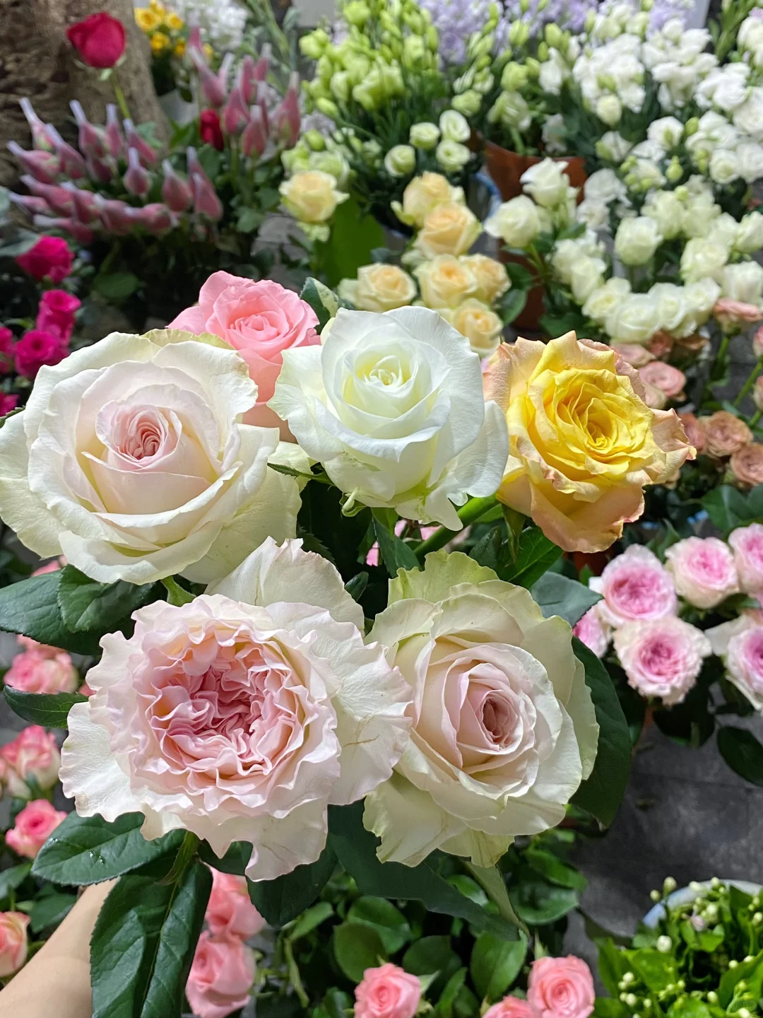 有没有人同感现场选花真是一件特别幸福的事