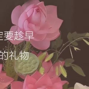 晚安心语 晚安好梦🌙坚持做自己喜欢做的事用心感受生活的每一个沉淀然后成为一个温