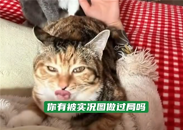 苹果客服回应实况图精准选丑【苹果实况图被指精准选丑！客服回应：实况定格是系统判断