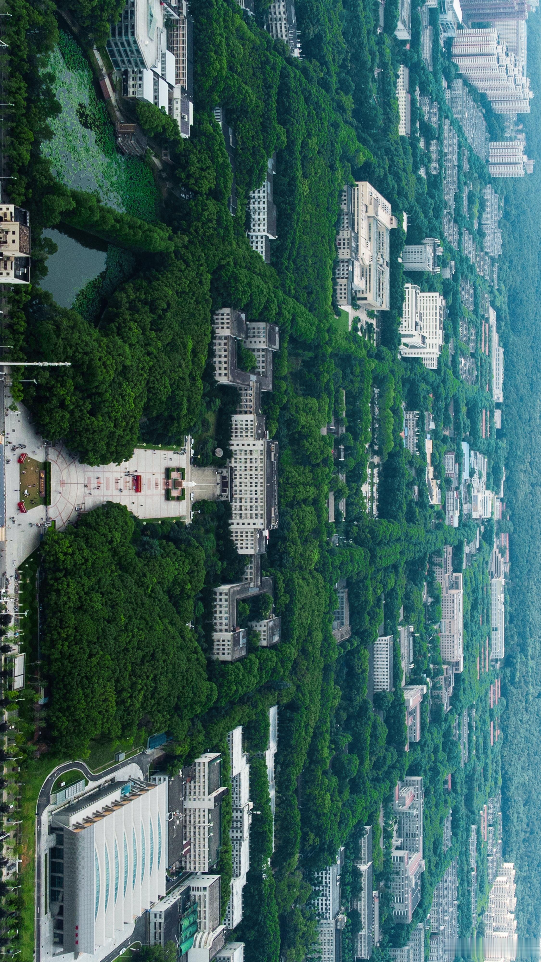 这么看华科像长在森林里的大学。📸📸📸 武汉