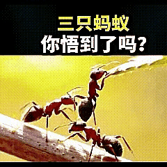 甘愿托举别人向上的人，往往弄丢了自己前行的路

人生感悟 现实扎心