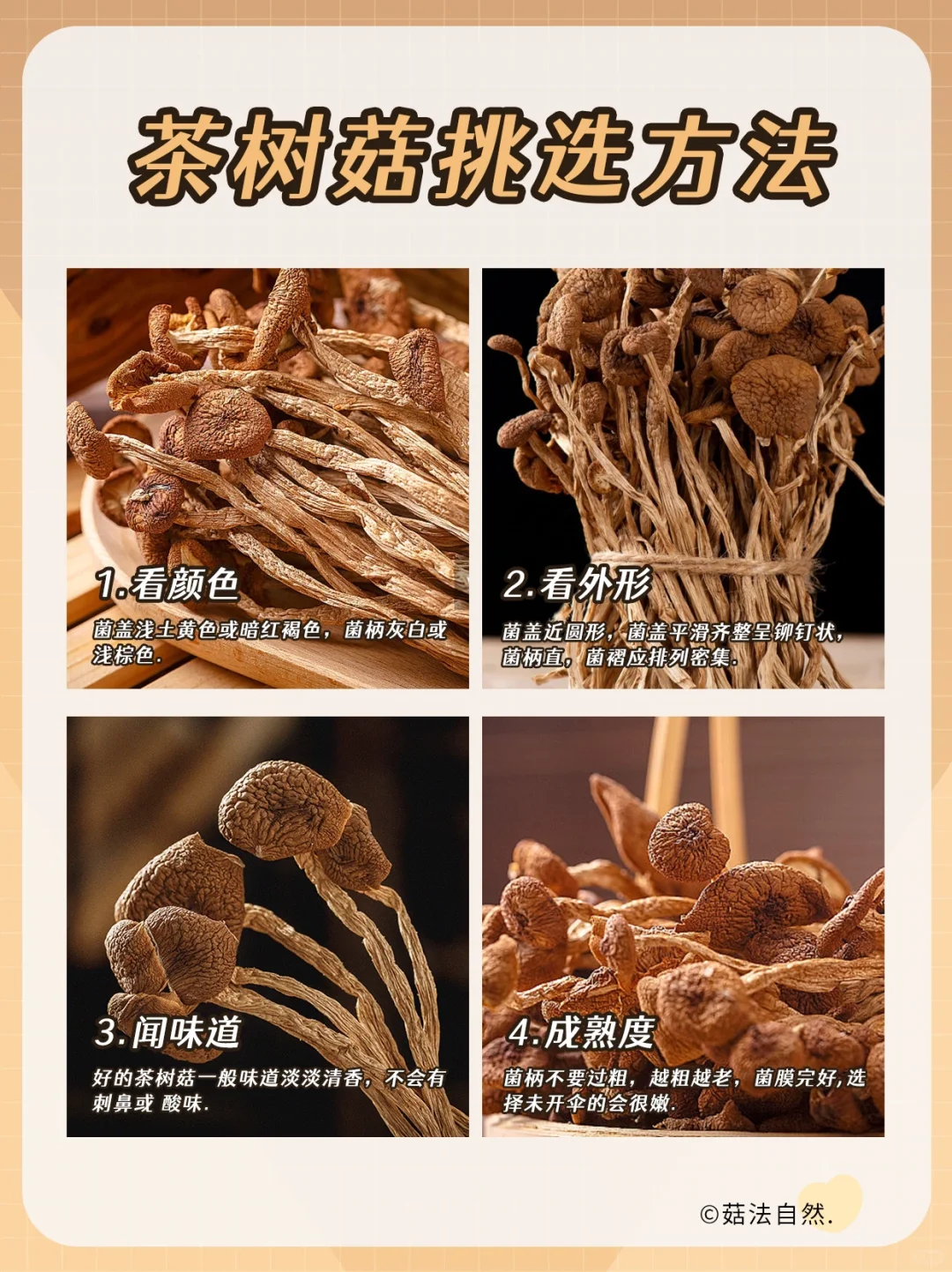 🔥茶树菇的挑选方法❗️建议收藏点赞👍