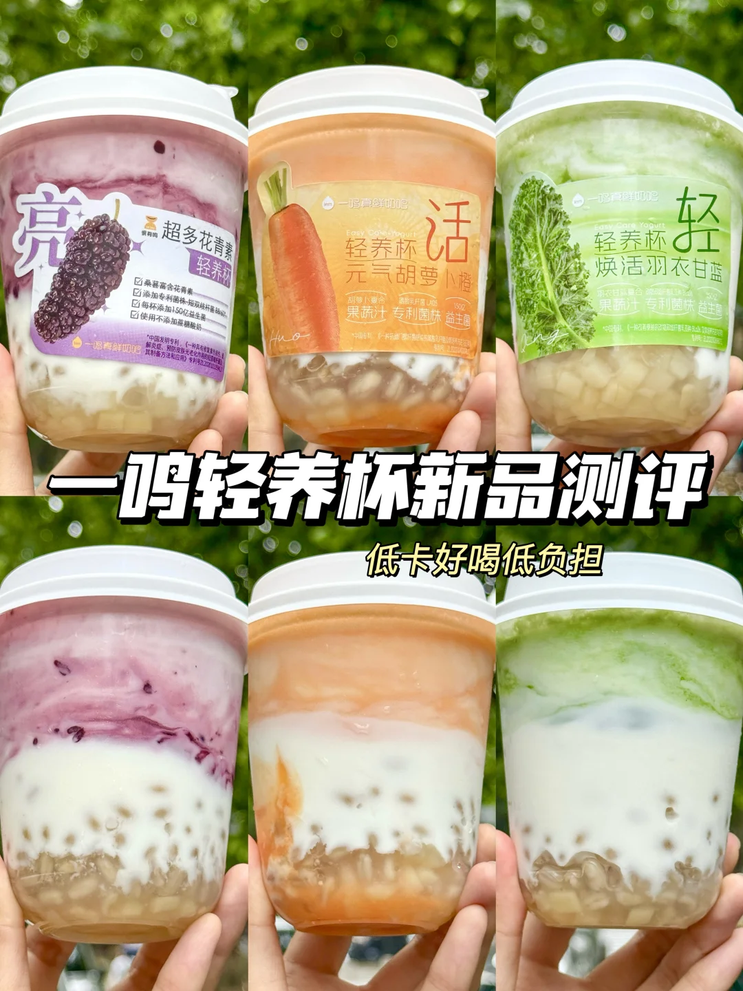 一鸣这几杯酸奶真的没有对手！！！