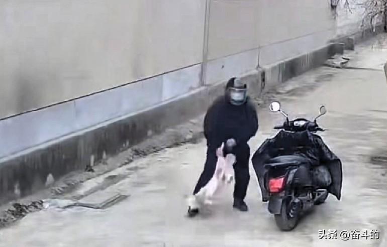 丧心病狂！
狗狗被活活摔死，枣庄朋友务必提高警惕！
 
 
事情发生在山东临沂兰