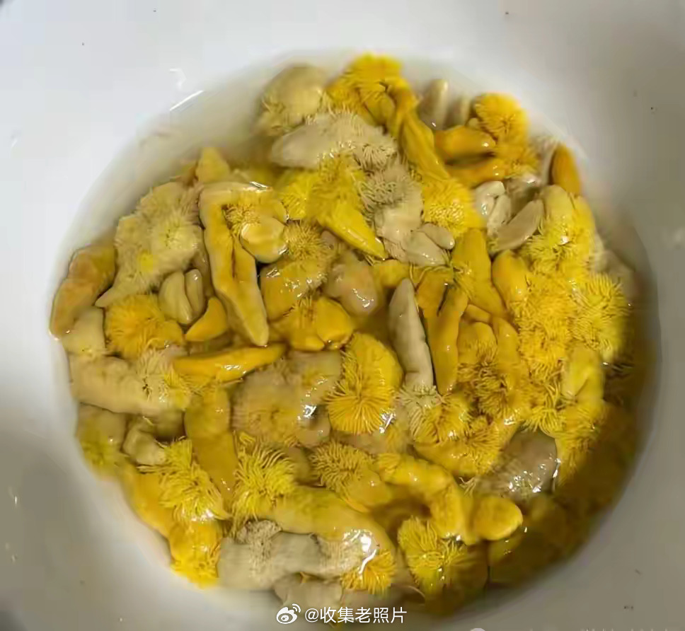 小龙虾里的，有人说是黄，有人说是屎，有人说是卵巢，有人说是肺，有人说是籽。反正我