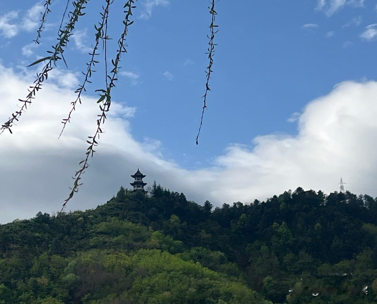 马克思的价值规律在＂肉夹馍＂上失效，东方文明就是那么牛。
    马克思的价值规