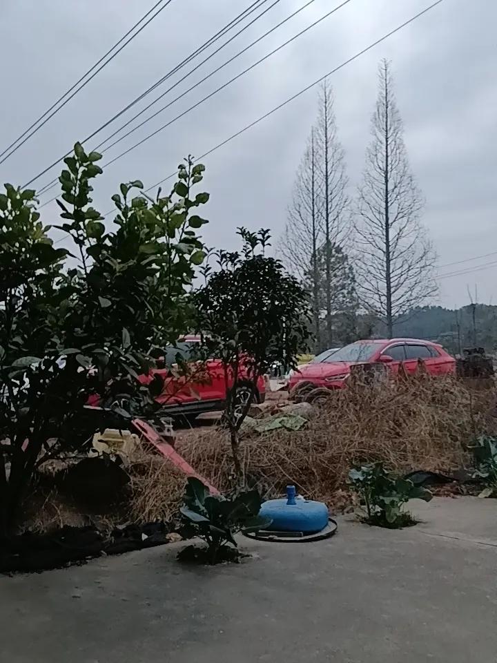 今天是二月二十一日，星期六，晴，我到大姐家做客