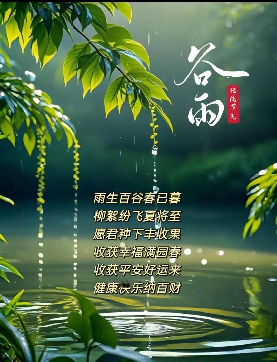 谷雨至，春意浓，雨生百谷，万物丰盈。愿你在这个充满生机的时节，收获希望，收获美好