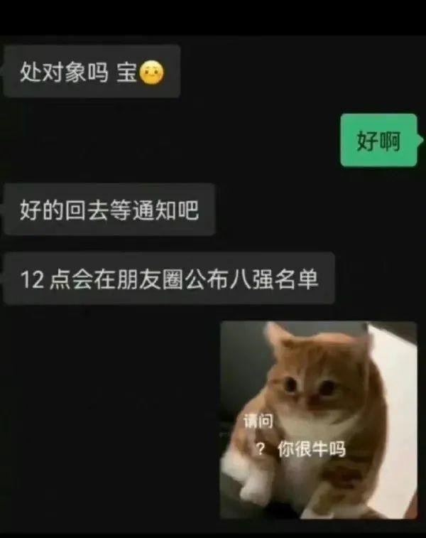 妈呀，时代变化太快了，都开始“海选”找对象了[赞][捂脸]