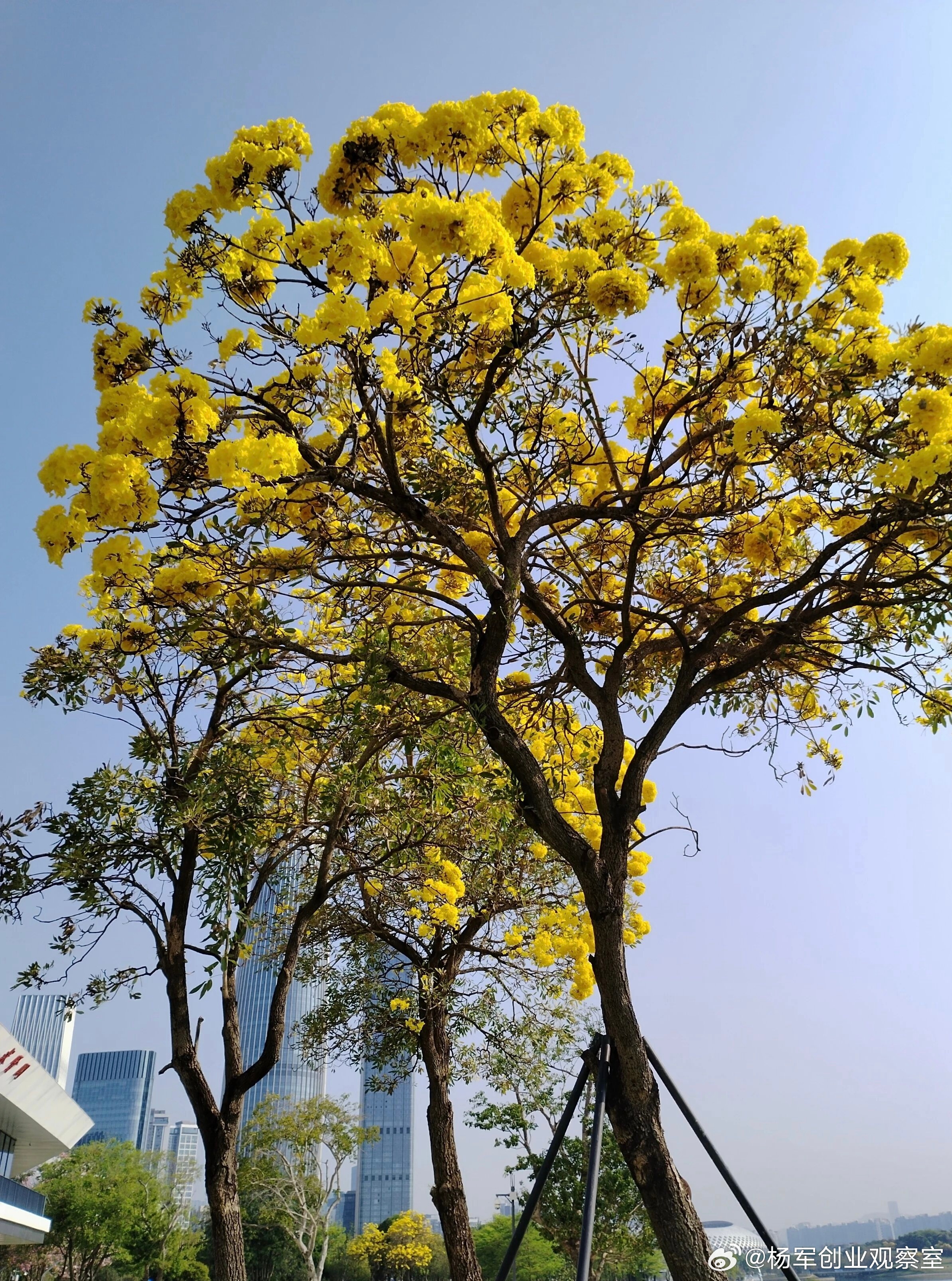 为什么多数创业者能做好一个“点”（产品），却很难带好一个“面”（企业）？核心差距