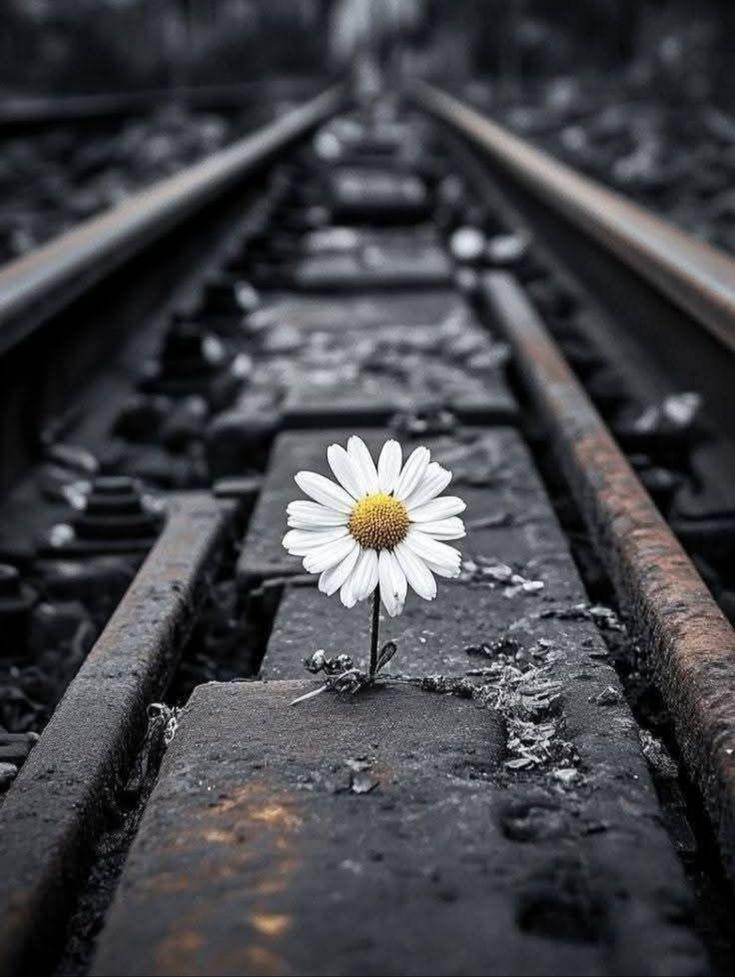 尽管个人为追逐私利的行为，往往会使其在客观上服务于公共利益，但有组织群体的集体行