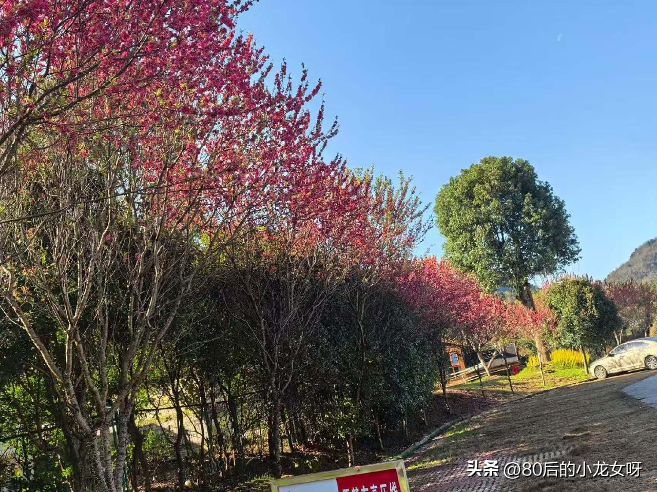 今天3月22日，星期日
我希望今天好运降临
我希望赚钱多多
我希望健康快乐多多