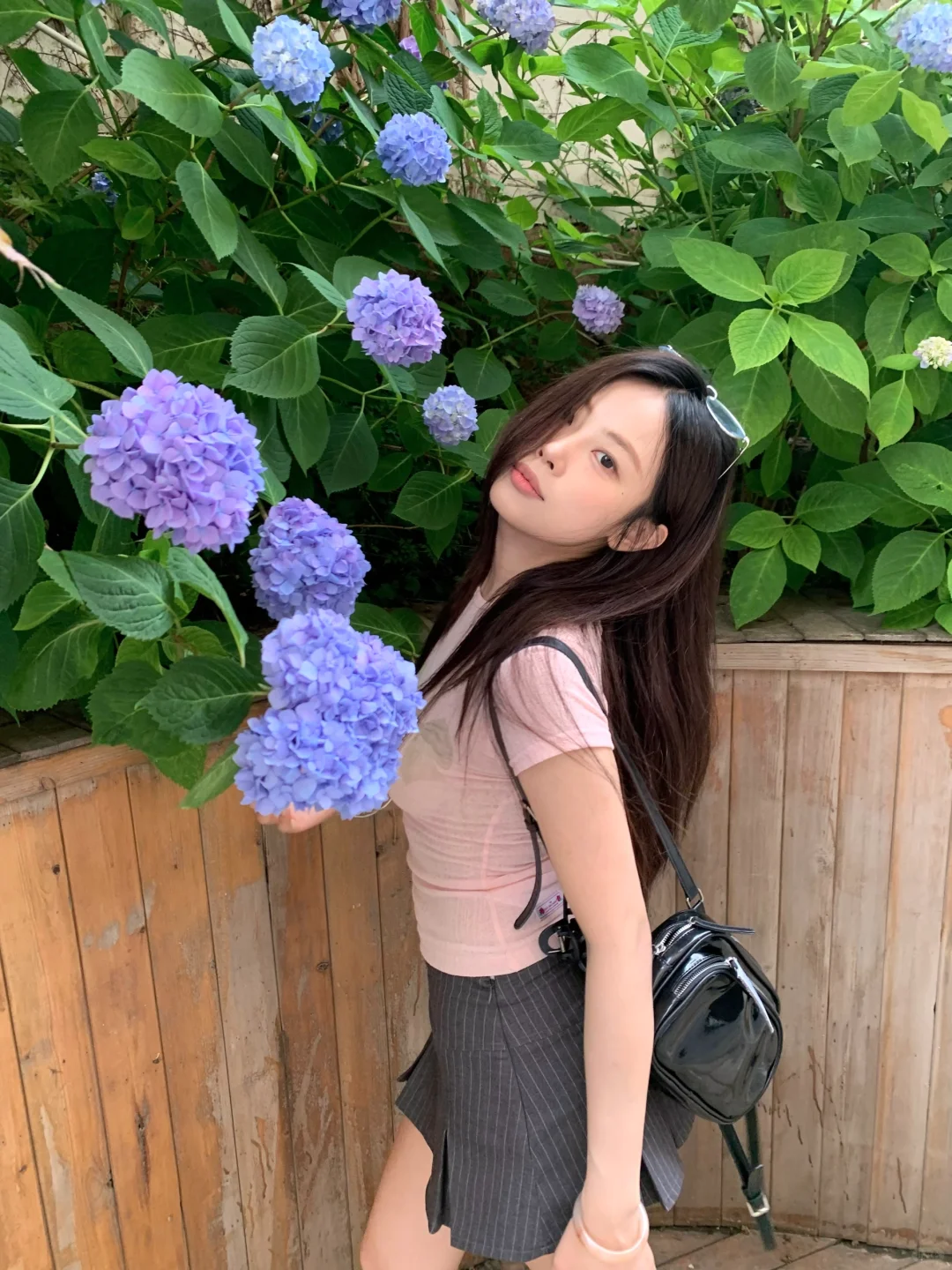 偶遇花花怎么拍🐰绣球就是坠出片的！