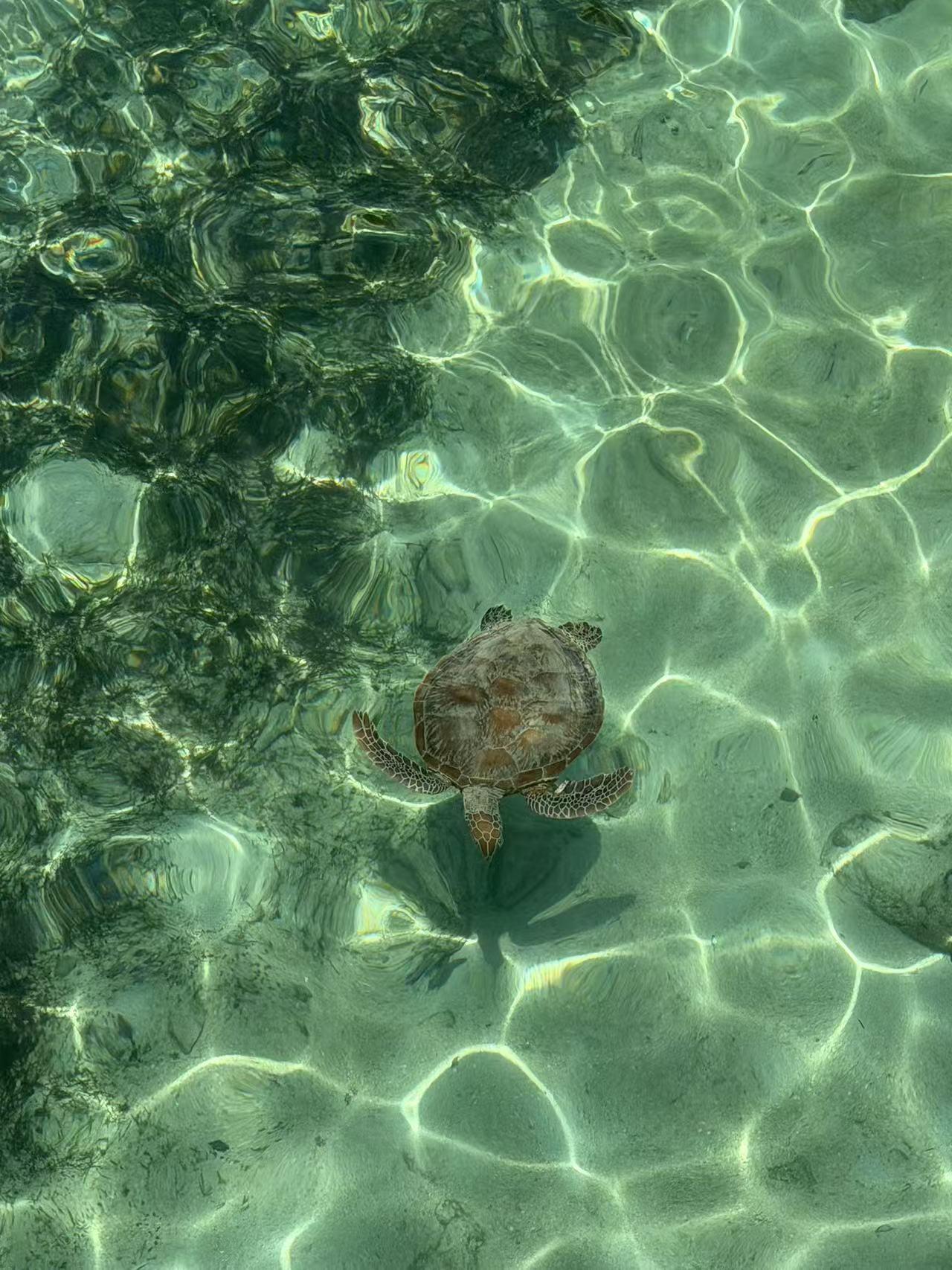 澳大利亚墨尔本