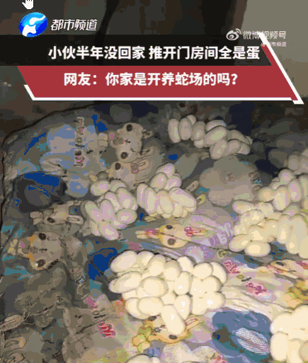 看着就让人头皮发麻！6月12日报道，江西，一小伙出门打工半年，日思夜想终于回到家
