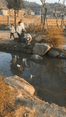 狗：你觉得我无所不能吗？
