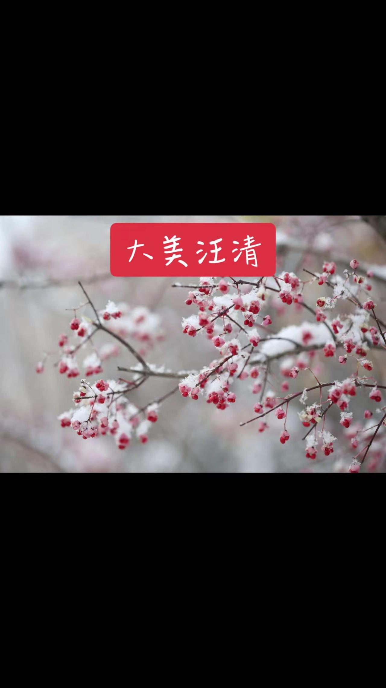 大自然的美无处不在随手一拍都是美景 记录身边美景