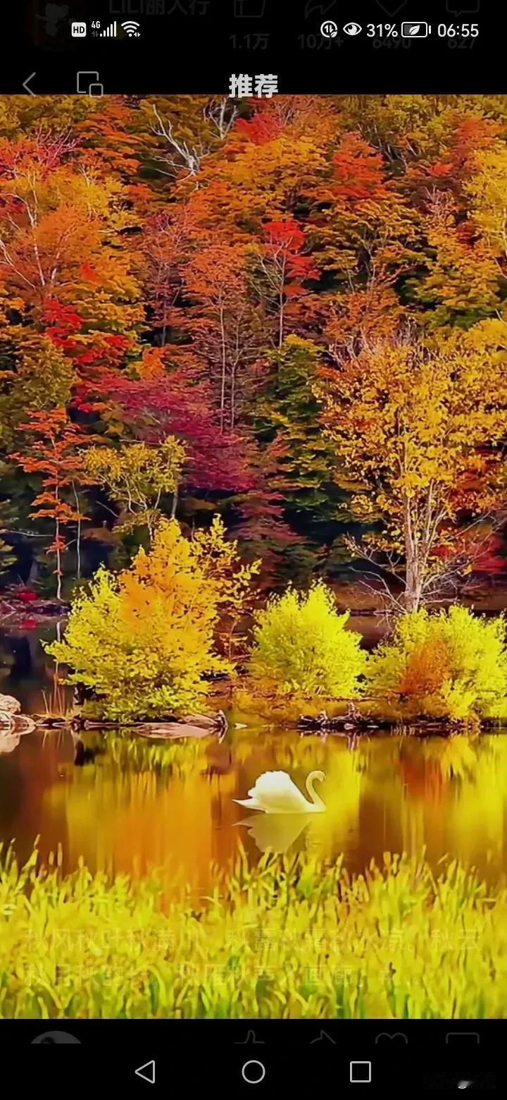 秋风秋叶秋满川，秋露秋霜秋水凉。
秋云秋月秋韵美，秋雁秋声入画廊。