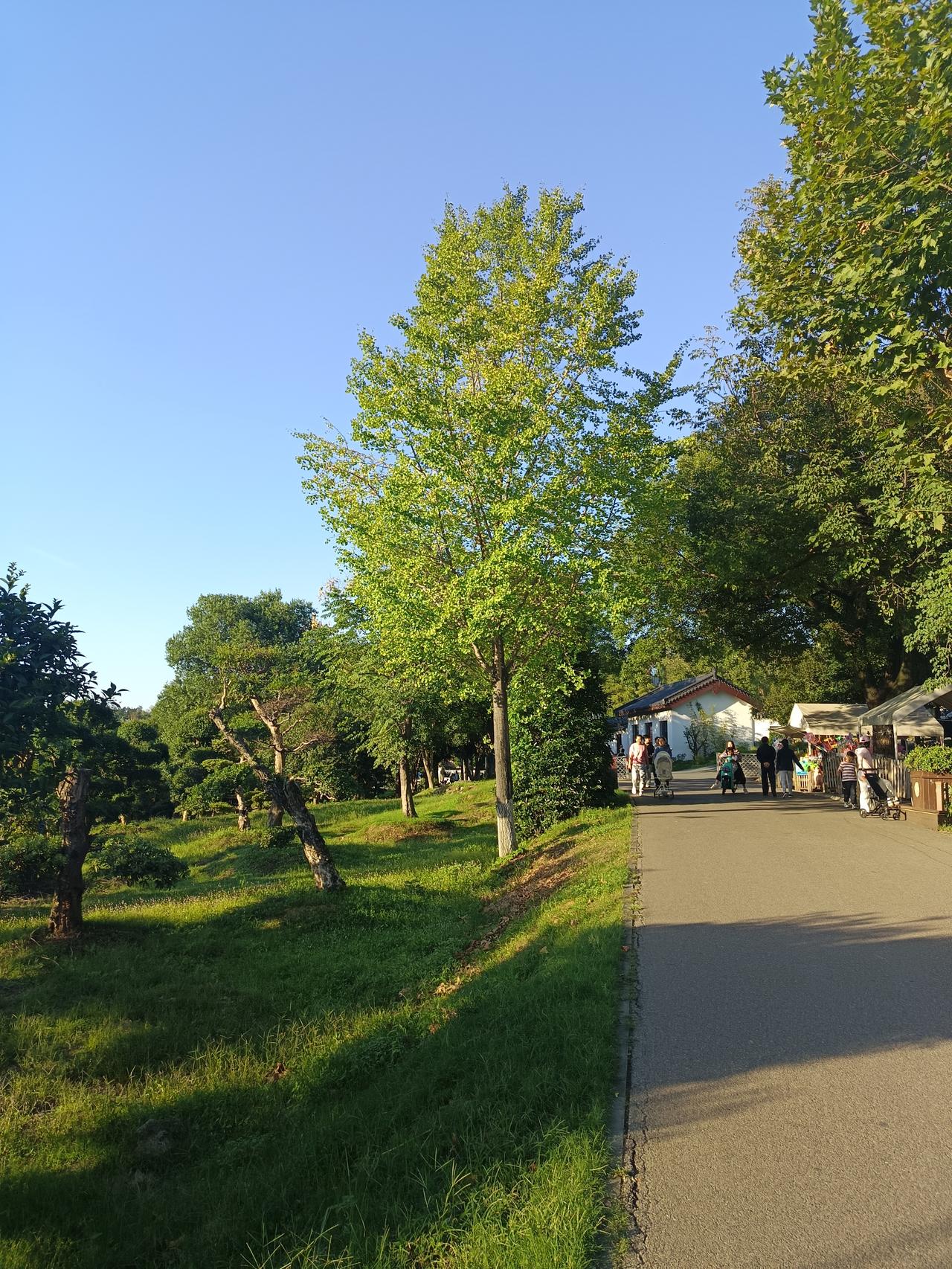 以前总抱怨公婆公爹对老公不上心，年轻时没帮衬过我们，现在直到我女儿嫁人了生了孩子