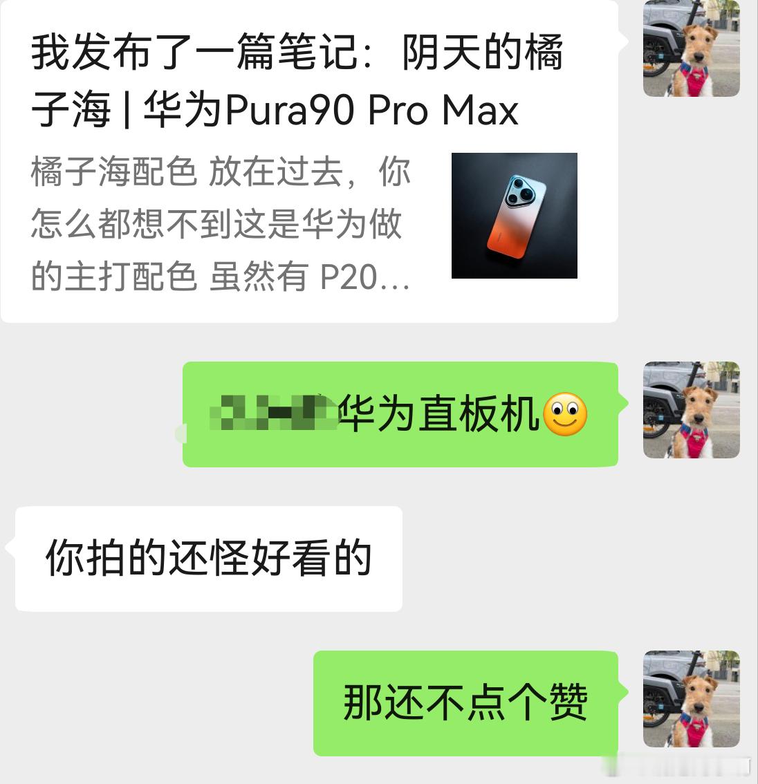 你就说好看不吧网页链接