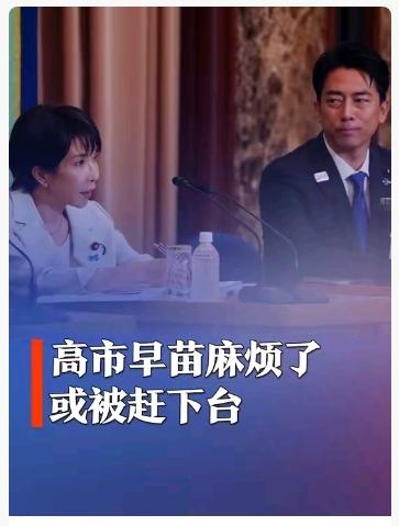 2025年12月相关报道及信息显示，菲律宾、日本、印度三国分别面临重要政治动态：