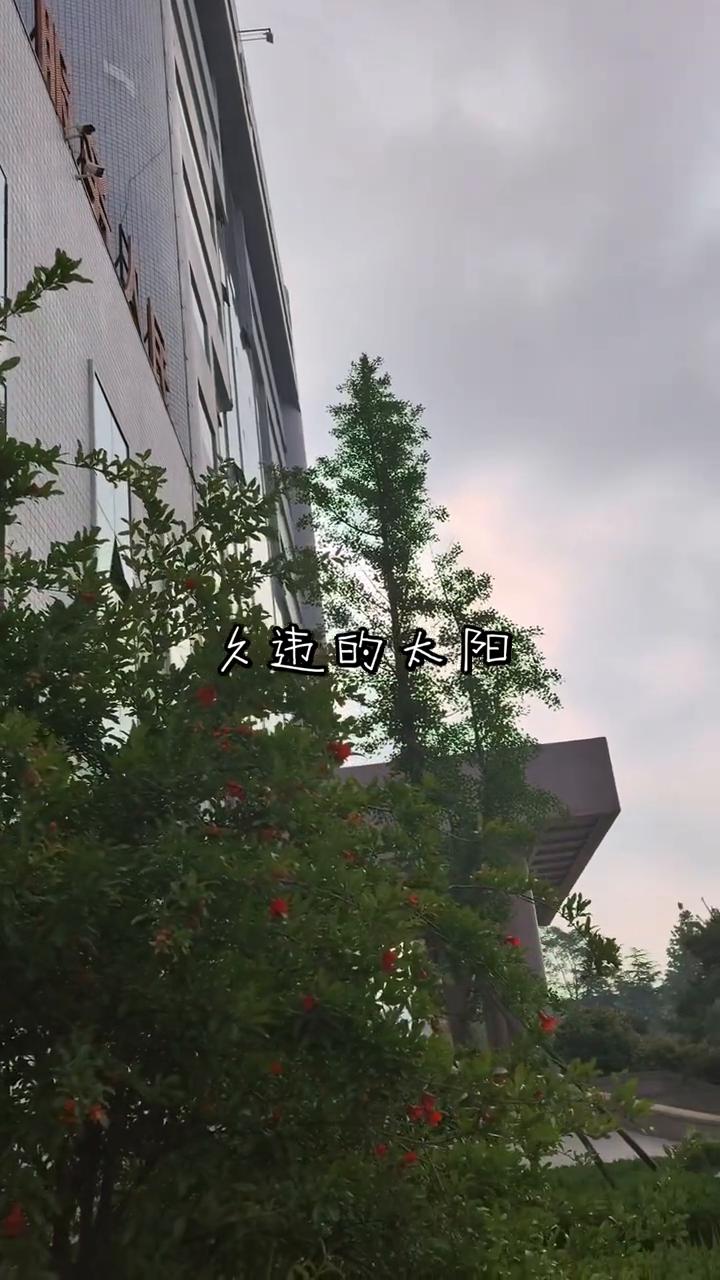 久违的太阳。