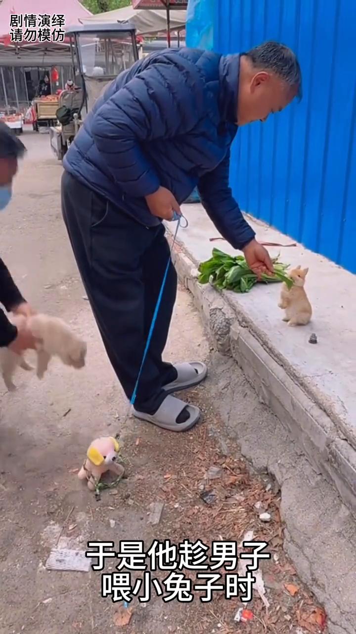 朋友悄悄把男子拉的小狗换成玩偶，这一幕真的太有才了。
男子摘了一些青菜喂路边的兔