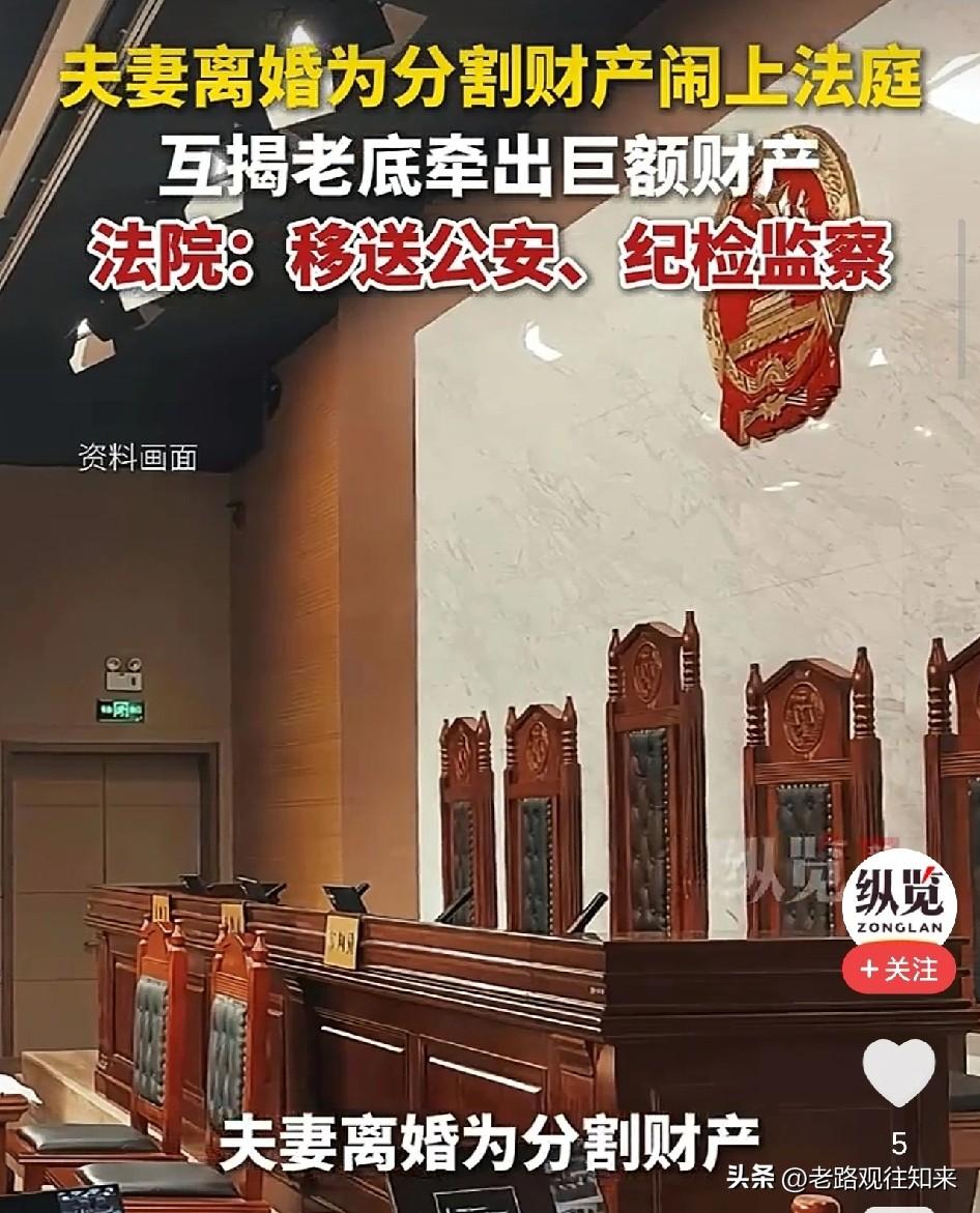 退休老夫妻离婚17年后，才分家产，近亿资产说不清来源，结局让人拍大腿

见过离婚