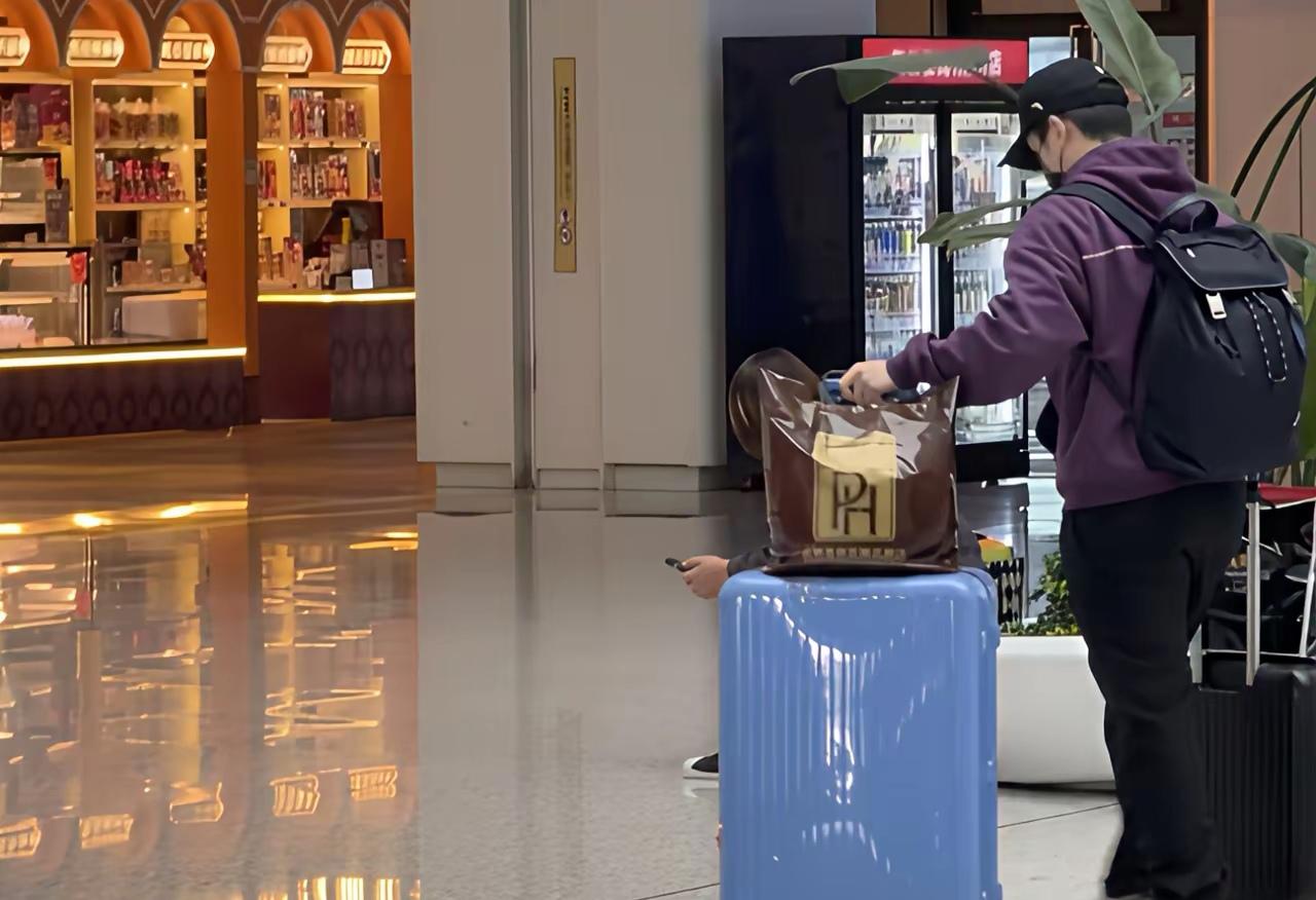 谁能想到，赛场上那个挥拍时气场全开的樊振东，私底下竟是这副模样？
 
全运会闭幕