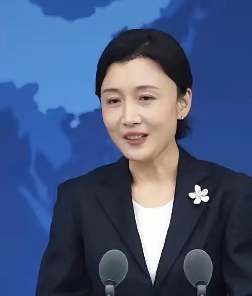 国台办重磅表态！严正警告台独势力，态度强硬

国台办今天说话那是真硬气。直接警告