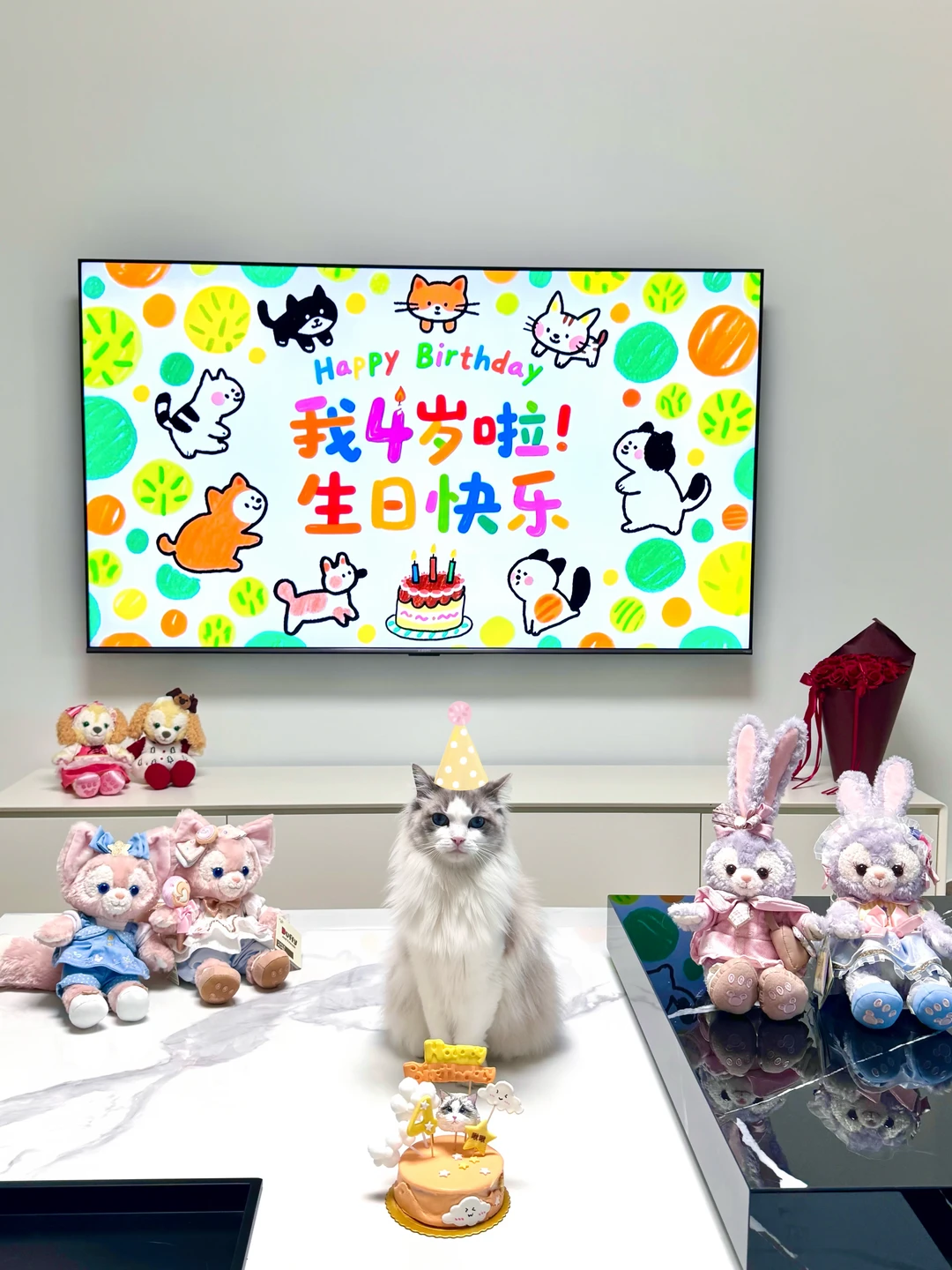 小猫咪过生日啦～是四岁的宝宝了！