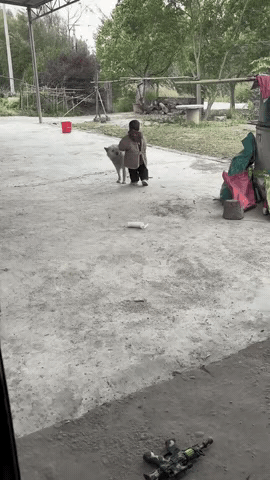 赶紧溜的惹不起[大笑][大笑]