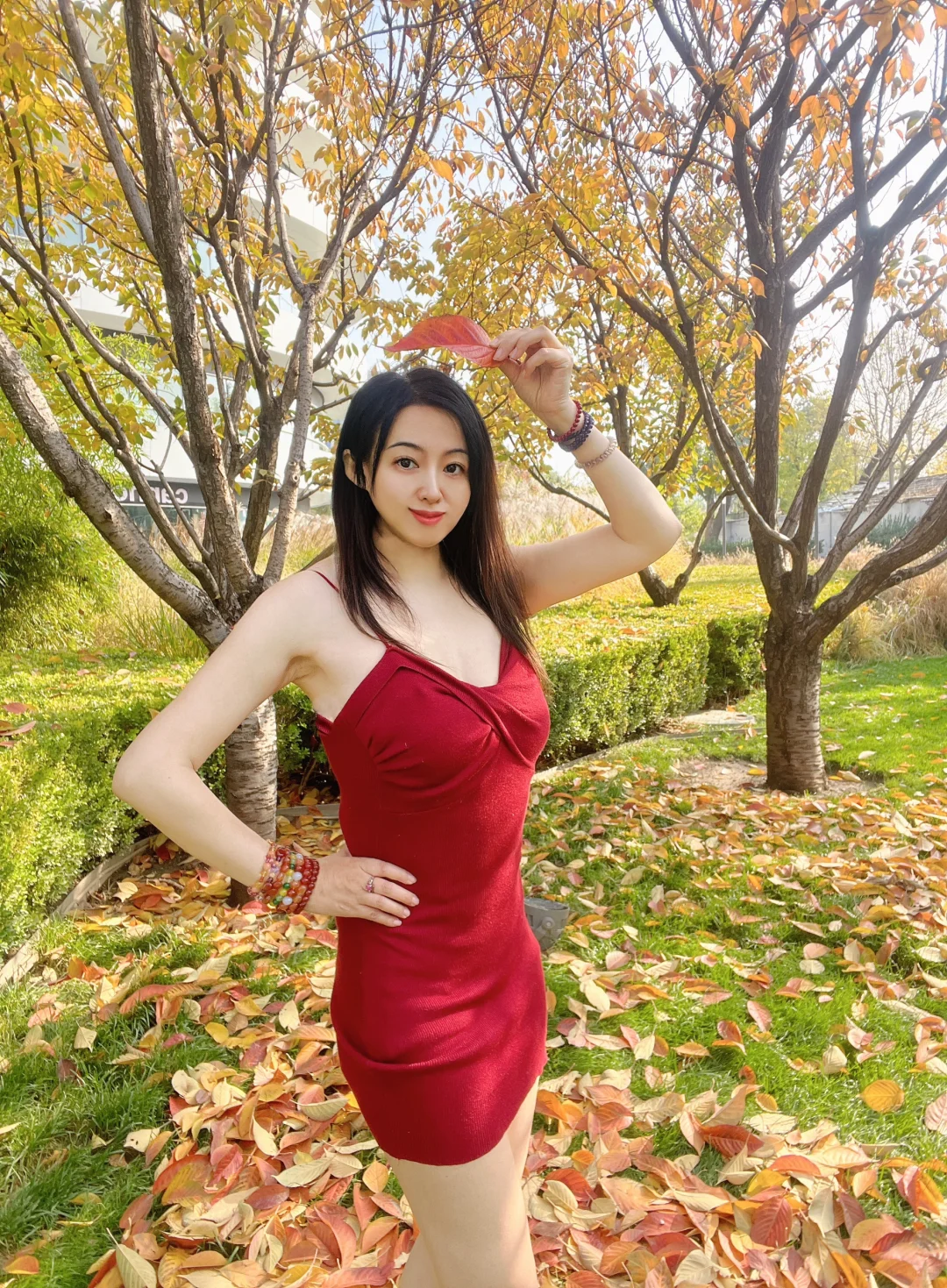 立冬后，我大北京的红叶🍁也太美了吧😍