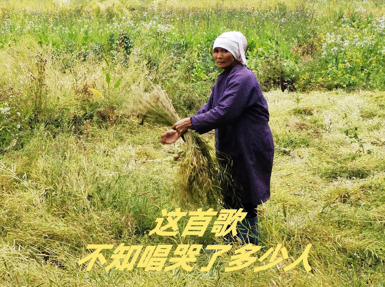 上热门话题🔥🔥🔥