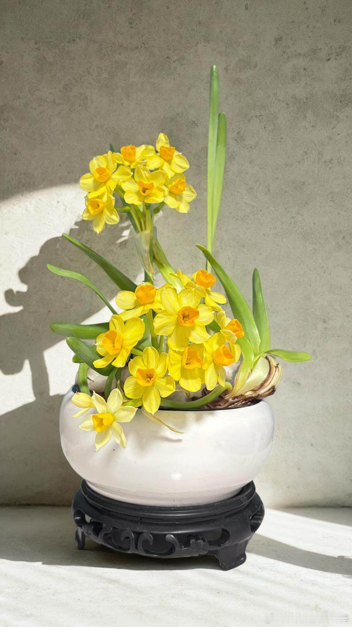 今日份水仙花 