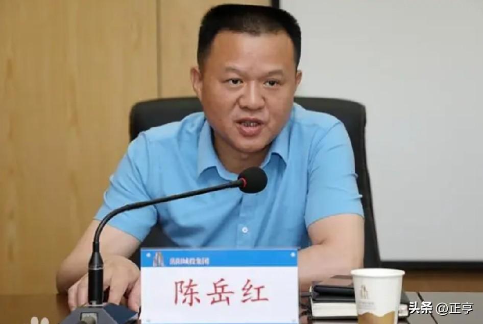 岳阳楼边的城投惊雷：先天下之忧，还是先天下之利
 
6月12日，巴陵古城的风，吹