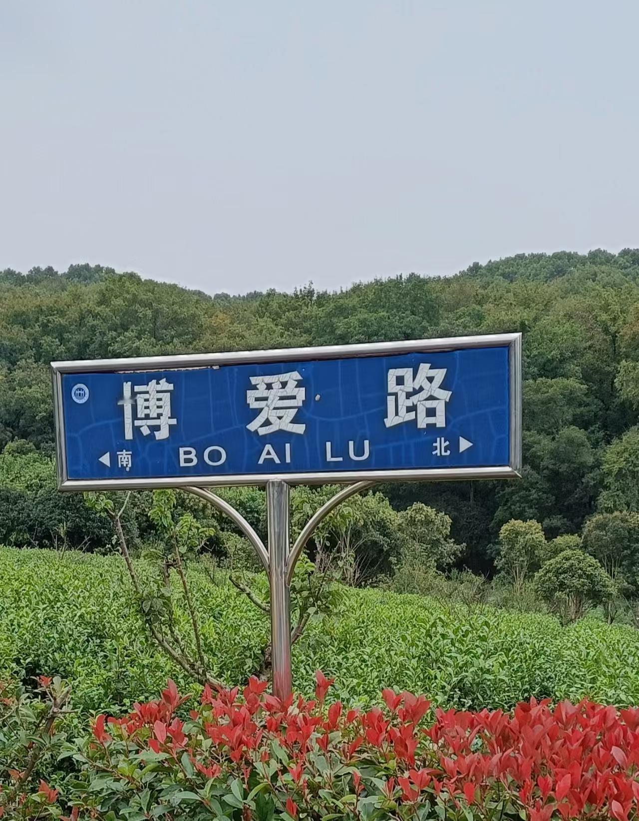 就是天意，老天给力。
得知中国台湾国民党主席郑丽文，4月8号访问南京，南京阴有中