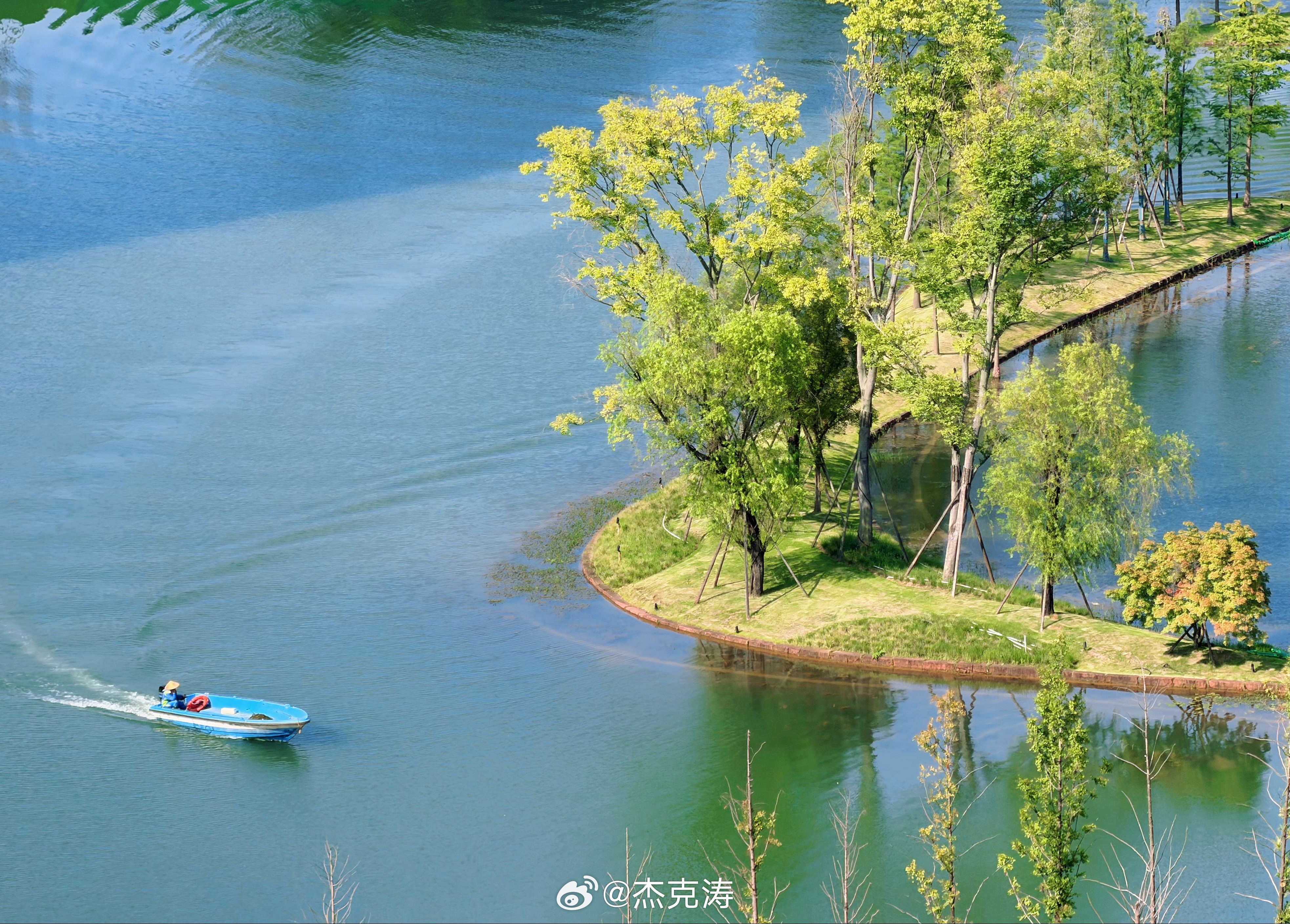 立秋后，好像真没那么热了我与汽车的日常杰克的生活日记