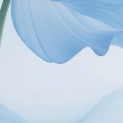 日行一善 破茧哲学挣扎是蜕变必须的祷告，束缚越紧终将迎来更辽阔的舒展。每一次碎骨