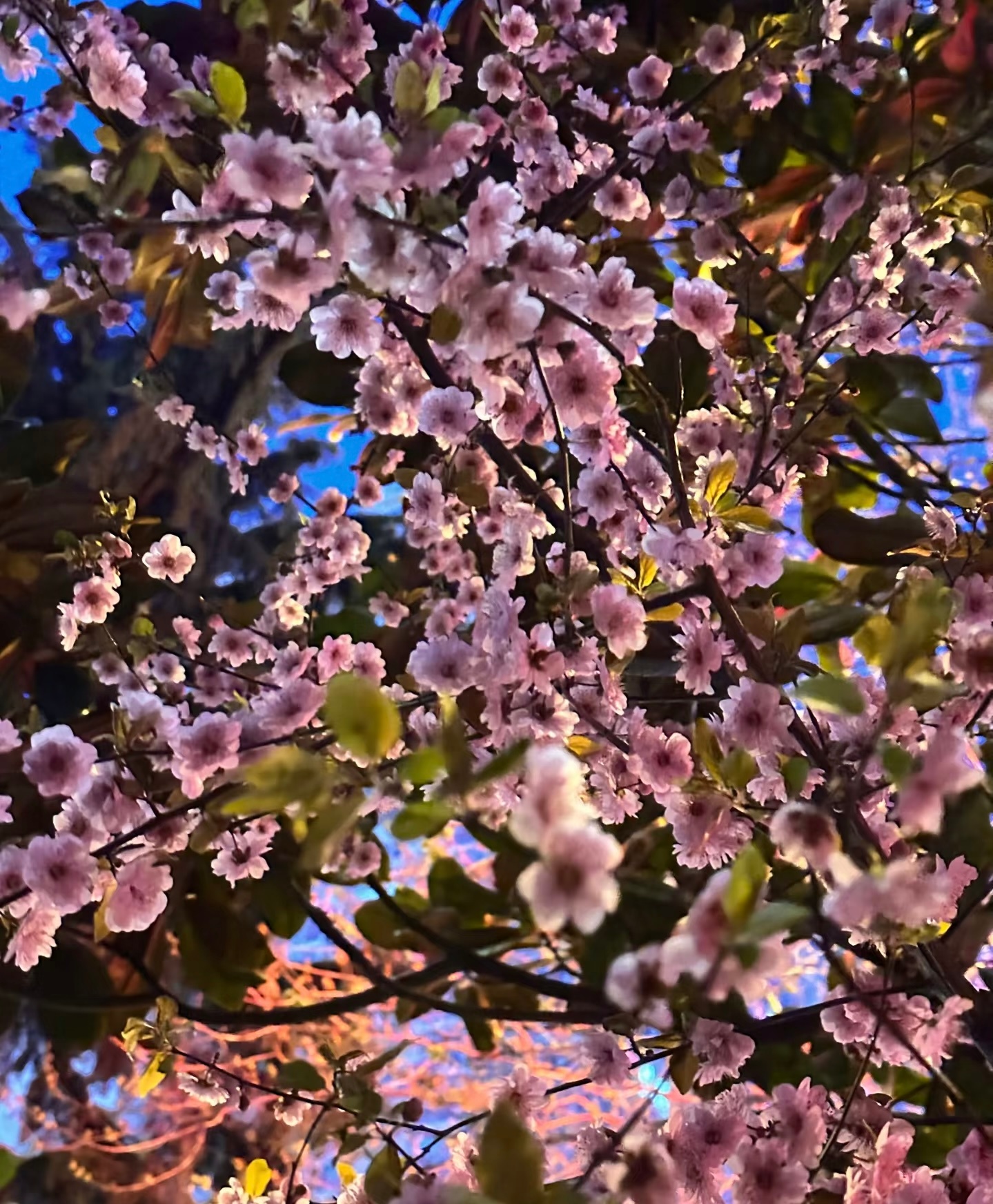 ☀️每日一善 ☀️阳光信用 许多不管怎么做、怎么想都没结果的事，要懂得交给时间。