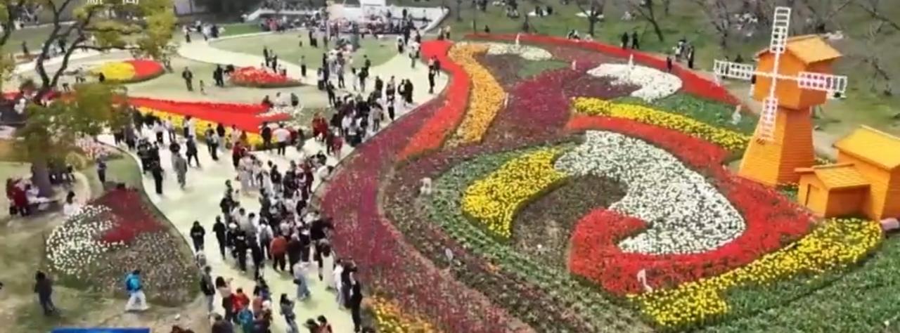 春日繁花盛放，各地花海迎来最佳观赏期。漫山遍野的桃花、杏花如云似霞，粉白交织铺满