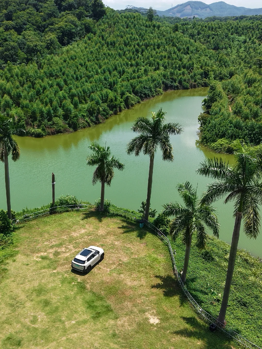 开车直达湖边❗️广东超美湖景森林露营地